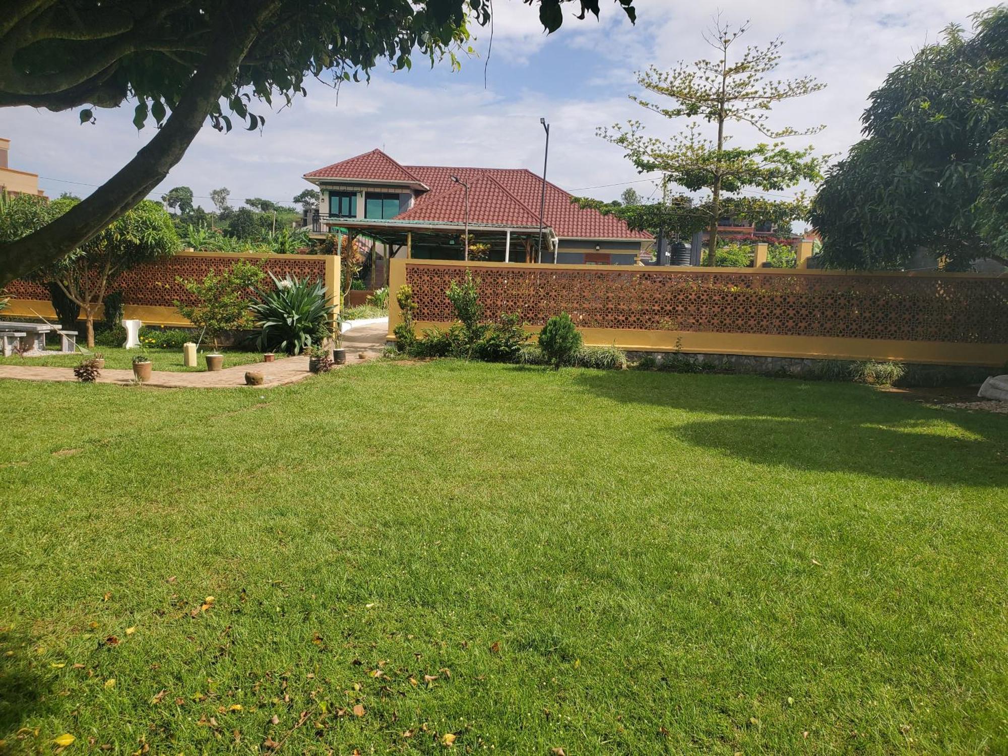 Gorilla African Entebbe